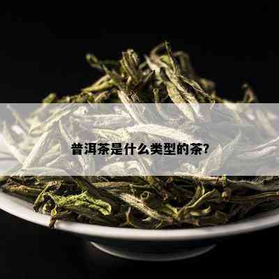 普洱茶是什么类型的茶？