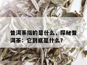 普洱茶指的是什么，探秘普洱茶：它到底是什么？