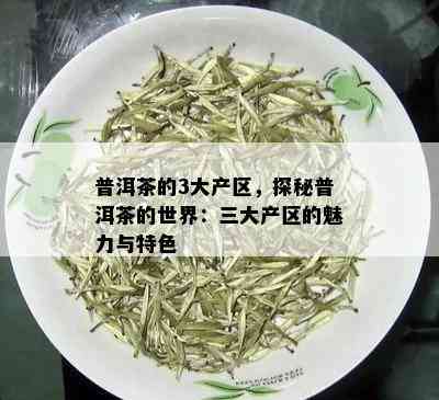 普洱茶的3大产区，探秘普洱茶的世界：三大产区的魅力与特色