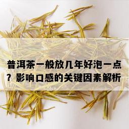 普洱茶一般放几年好泡一点？影响口感的关键因素解析