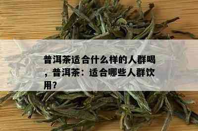 普洱茶适合什么样的人群喝，普洱茶：适合哪些人群饮用？