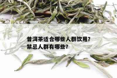 普洱茶适合哪些人群饮用？禁忌人群有哪些？