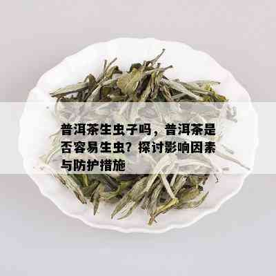 普洱茶生虫子吗，普洱茶是否容易生虫？探讨影响因素与防护措施