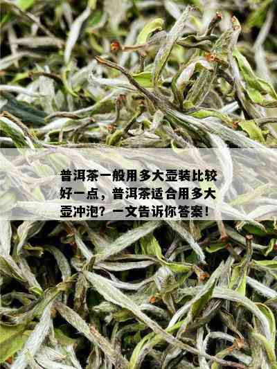 普洱茶一般用多大壶装比较好一点，普洱茶适合用多大壶冲泡？一文告诉你答案！