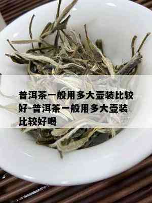 普洱茶一般用多大壶装比较好-普洱茶一般用多大壶装比较好喝