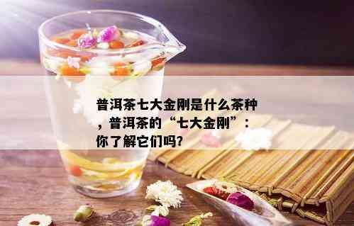 普洱茶七大金刚是什么茶种，普洱茶的“七大金刚”：你了解它们吗？