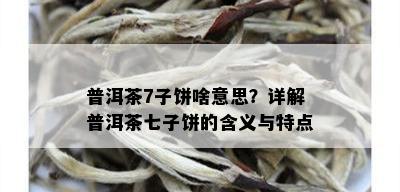 普洱茶7子饼啥意思？详解普洱茶七子饼的含义与特点