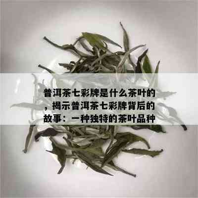 普洱茶七彩牌是什么茶叶的，揭示普洱茶七彩牌背后的故事：一种独特的茶叶品种