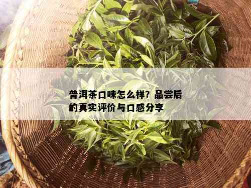 普洱茶口味怎么样？品尝后的真实评价与口感分享