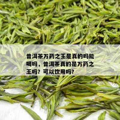 普洱茶万药之王是真的吗能喝吗，普洱茶真的是万药之王吗？可以饮用吗？