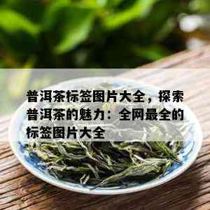 普洱茶标签图片大全，探索普洱茶的魅力：全网最全的标签图片大全