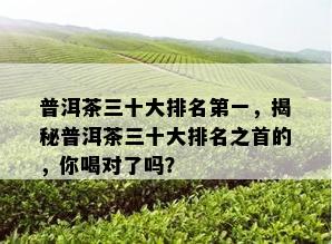 普洱茶三十大排名之一，揭秘普洱茶三十大排名之首的，你喝对了吗？