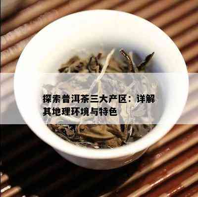 探索普洱茶三大产区：详解其地理环境与特色