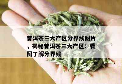 普洱茶三大产区分界线图片，揭秘普洱茶三大产区：看图了解分界线