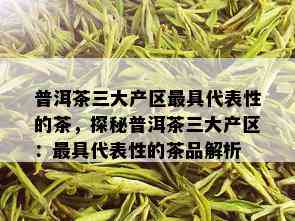 普洱茶三大产区更具代表性的茶，探秘普洱茶三大产区：更具代表性的茶品解析