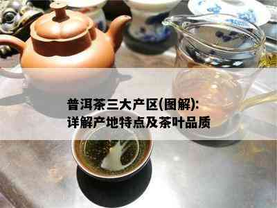 普洱茶三大产区(图解):详解产地特点及茶叶品质