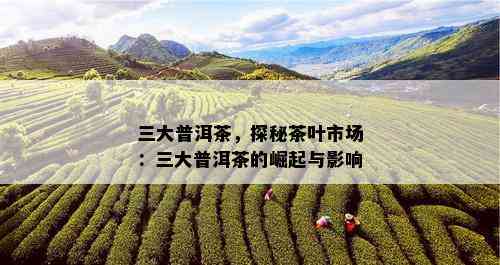 三大普洱茶，探秘茶叶市场：三大普洱茶的崛起与影响