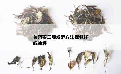 普洱茶三层发酵方法视频详解教程