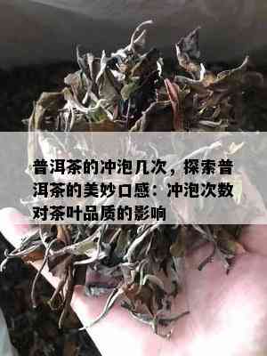 普洱茶的冲泡几次，探索普洱茶的美妙口感：冲泡次数对茶叶品质的影响