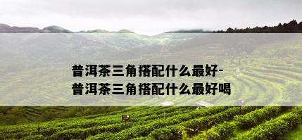 普洱茶三角搭配什么更好-普洱茶三角搭配什么更好喝