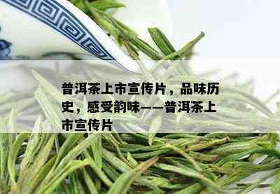 普洱茶上市宣传片，品味历史，感受韵味——普洱茶上市宣传片