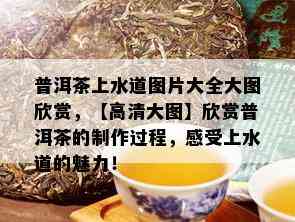 普洱茶上水道图片大全大图欣赏，【高清大图】欣赏普洱茶的制作过程，感受上水道的魅力！