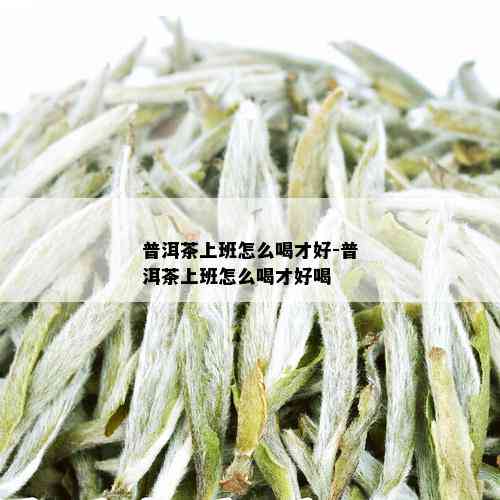 普洱茶上班怎么喝才好-普洱茶上班怎么喝才好喝