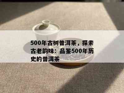 500年古树普洱茶，探索古老韵味：品鉴500年历史的普洱茶