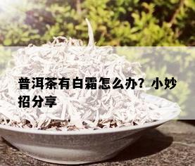 普洱茶有白霜怎么办？小妙招分享