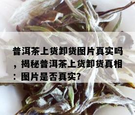 普洱茶上货卸货图片真实吗，揭秘普洱茶上货卸货真相：图片是否真实？