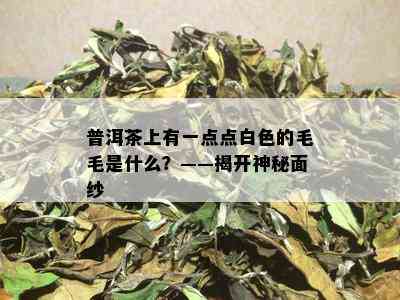 普洱茶上有一点点白色的毛毛是什么？——揭开神秘面纱