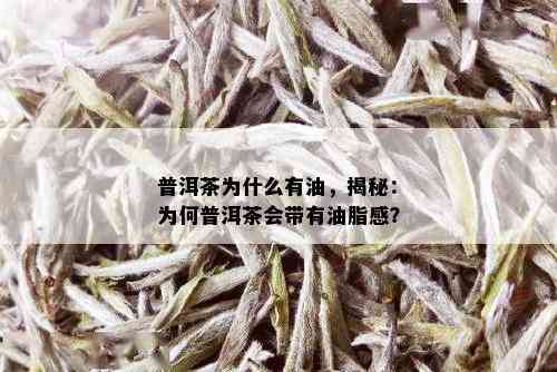 普洱茶为什么有油，揭秘：为何普洱茶会带有油脂感？