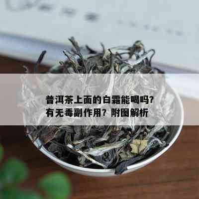 普洱茶上面的白霜能喝吗？有无副作用？附图解析