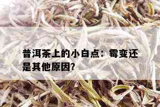 普洱茶上的小白点：霉变还是其他原因？