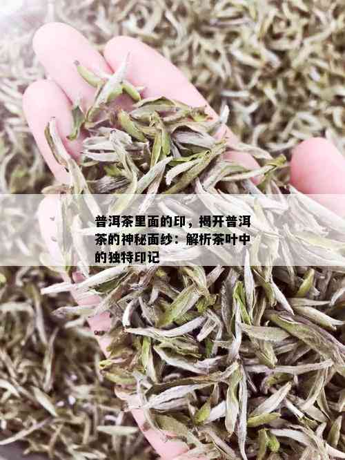 普洱茶里面的印，揭开普洱茶的神秘面纱：解析茶叶中的独特印记