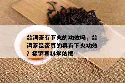 普洱茶有下火的功效吗，普洱茶是否真的具有下火功效？探究其科学依据