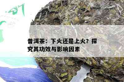 普洱茶：下火还是上火？探究其功效与影响因素