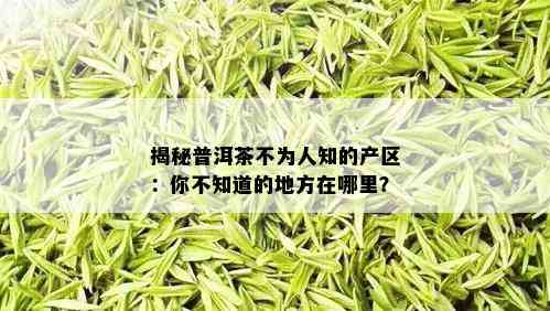 揭秘普洱茶不为人知的产区：你不知道的地方在哪里？