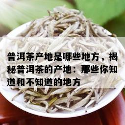 普洱茶产地是哪些地方，揭秘普洱茶的产地：那些你知道和不知道的地方