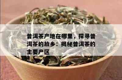 普洱茶产地在哪里，探寻普洱茶的故乡：揭秘普洱茶的主要产区