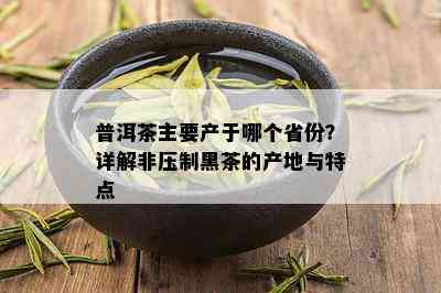 普洱茶主要产于哪个省份？详解非压制黑茶的产地与特点