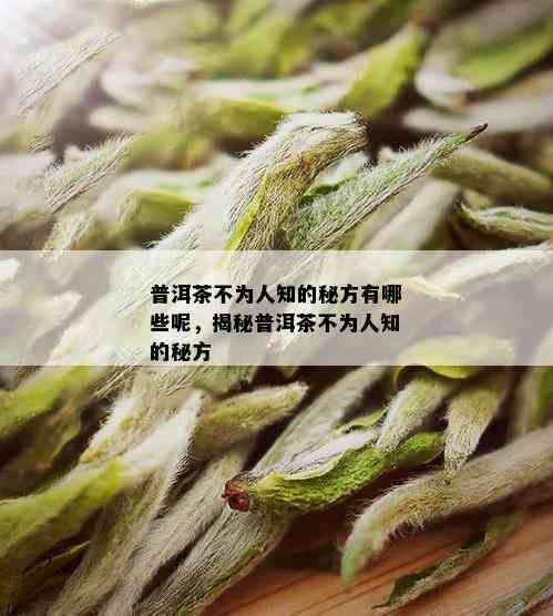 普洱茶不为人知的秘方有哪些呢，揭秘普洱茶不为人知的秘方