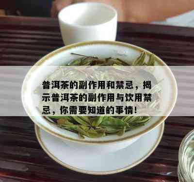 普洱茶的副作用和禁忌，揭示普洱茶的副作用与饮用禁忌，你需要知道的事情！