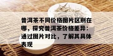 普洱茶不同价格图片区别在哪，探究普洱茶价格差异：通过图片对比，了解其具体表现