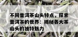 不同普洱茶山头特点，探索普洱茶的世界：揭秘各大茶山头的独特魅力