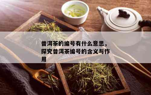 普洱茶的编号有什么意思，探究普洱茶编号的含义与作用