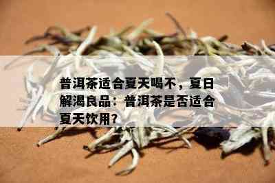 普洱茶适合夏天喝不，夏日解渴良品：普洱茶是否适合夏天饮用？