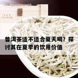 普洱茶适不适合夏天喝？探讨其在夏季的饮用价值