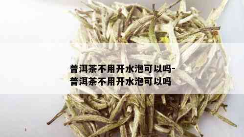 普洱茶不用开水泡可以吗-普洱茶不用开水泡可以吗