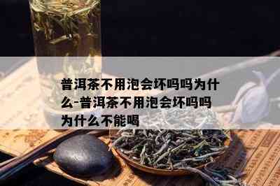 普洱茶不用泡会坏吗吗为什么-普洱茶不用泡会坏吗吗为什么不能喝